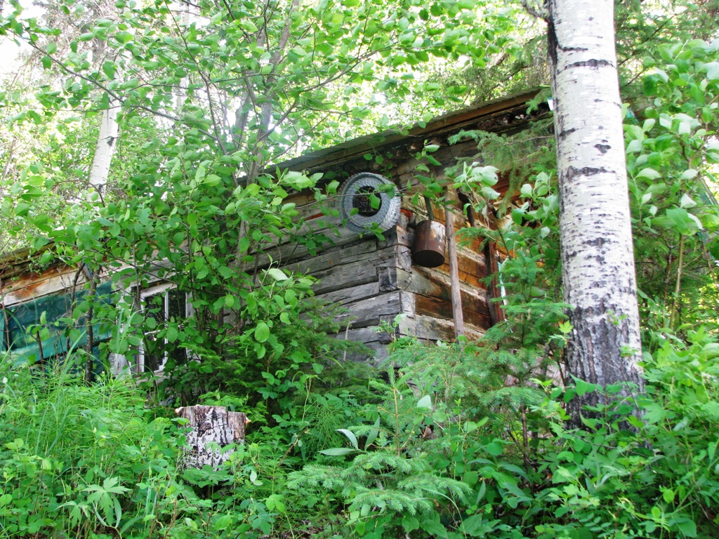 bobs river cabin.JPG