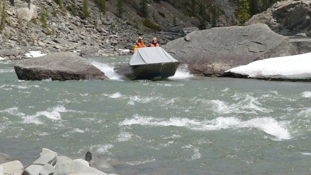 Brazeau River Whiteys 009.jpg