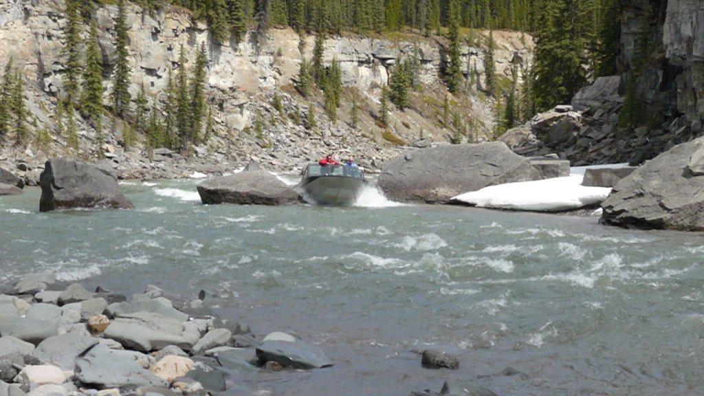 Brazeau River Whiteys 033.jpg
