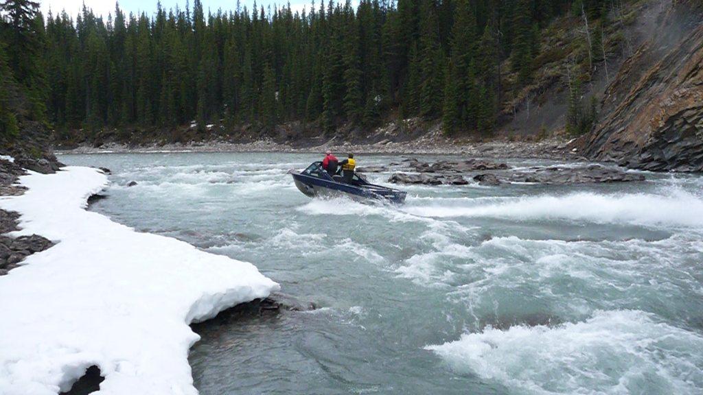 Brazeau River Whiteys 091.jpg
