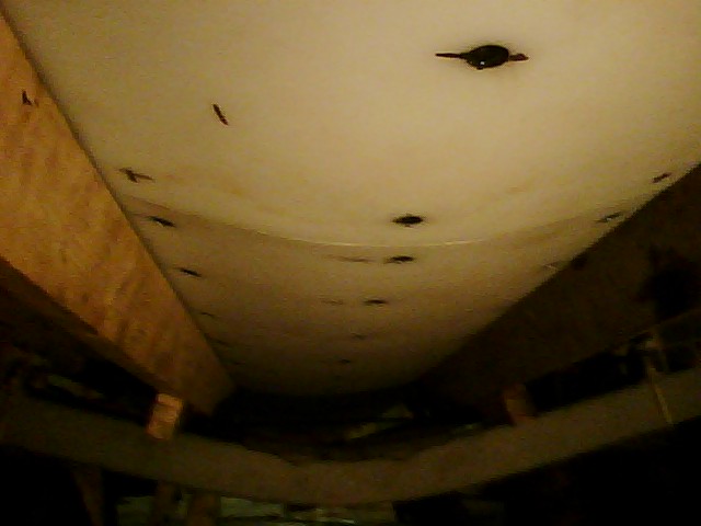 clip_image007.jpg