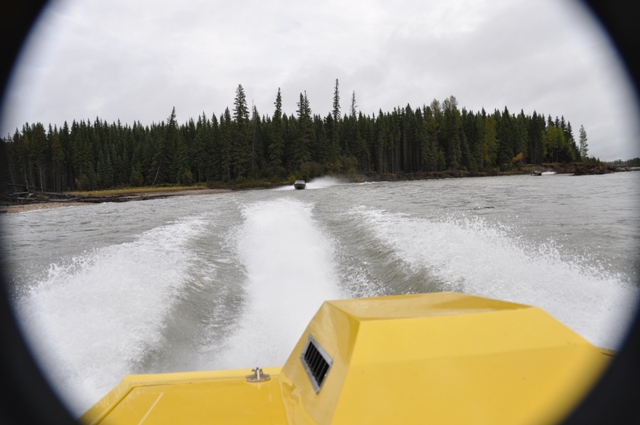DSC_0098r.JPG