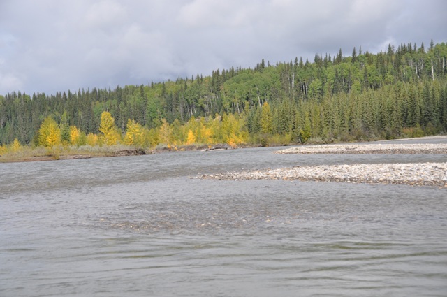 DSC_0179R.JPG