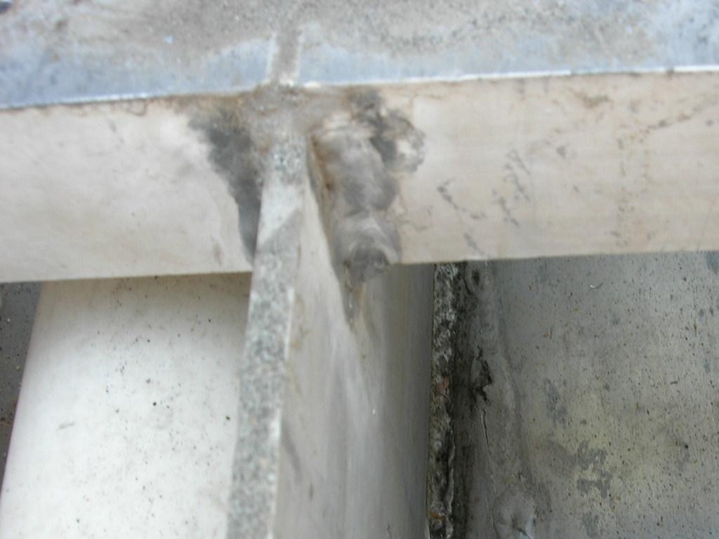 DSCN1773.JPG