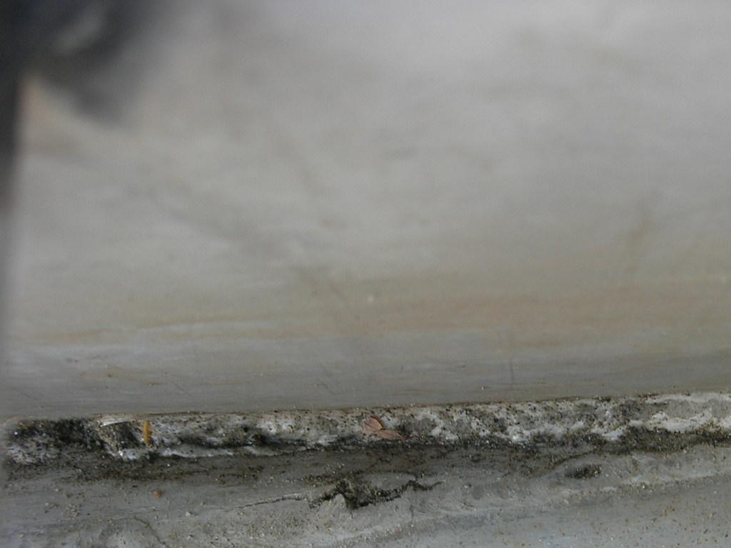 DSCN1774.JPG