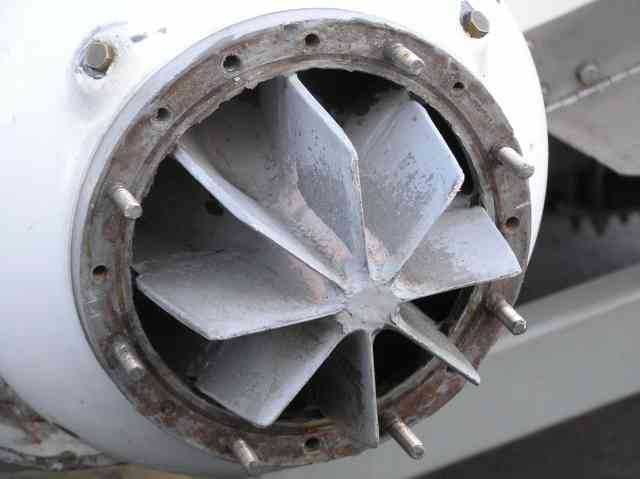 fins in bowl.jpg