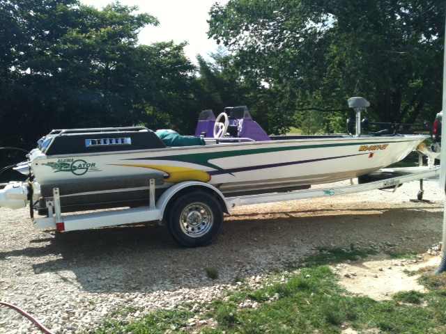 gator3pic.jpg