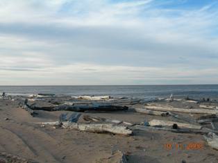 H.R. Thanksgiving 2008 beach 035.jpg