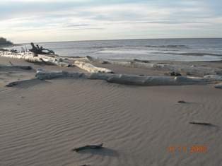 H.R. Thanksgiving 2008 beach 2 037.jpg