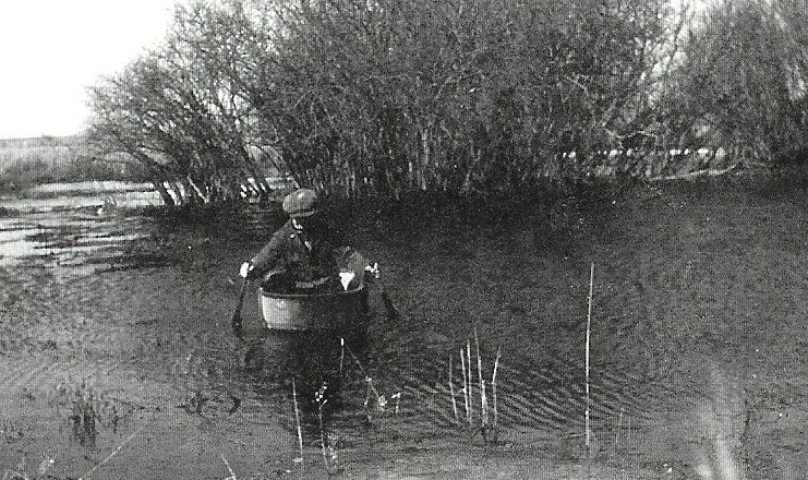 Image14.jpg