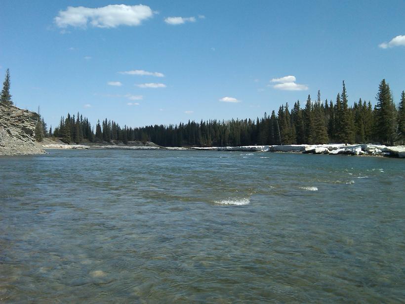 IMG00201-20090502-1515r.JPG