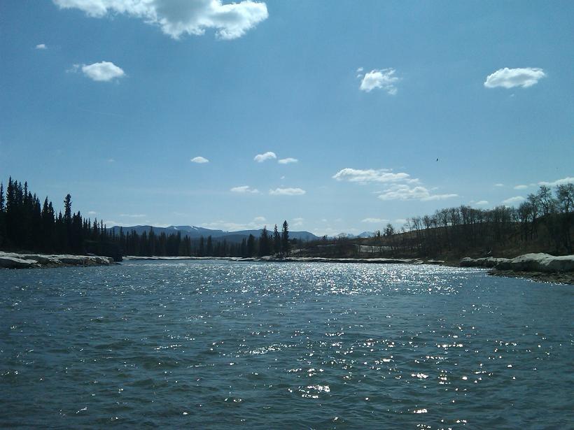 IMG00203-20090502-1515r.JPG