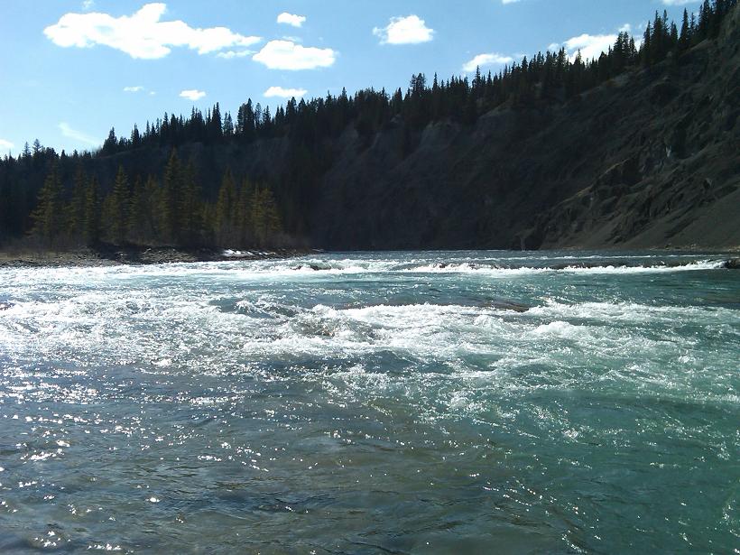 IMG00205-20090502-1534r.JPG