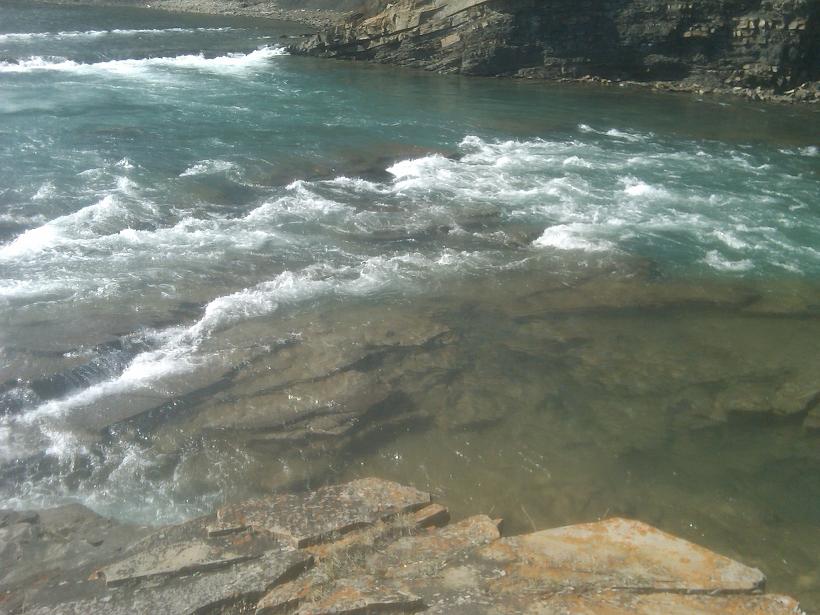 IMG00207-20090502-1548r.JPG
