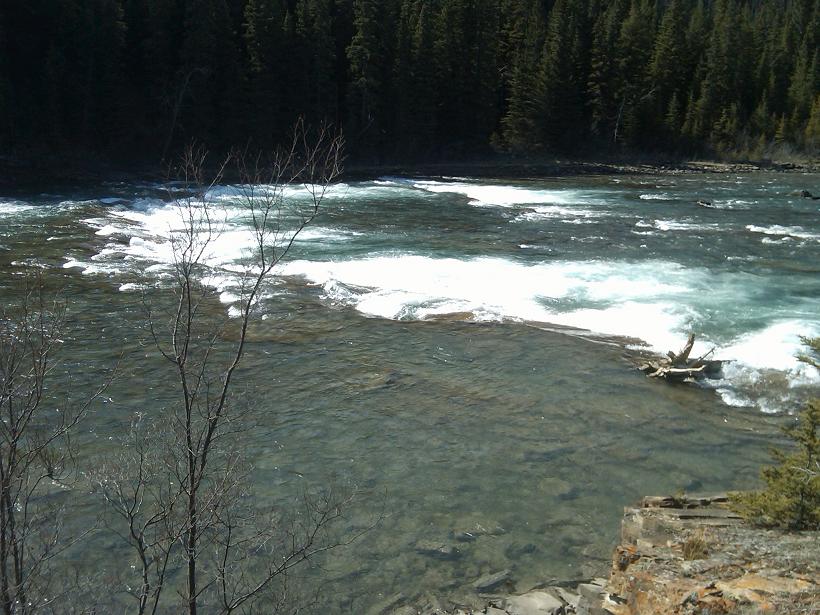 IMG00209-20090502-1600r.JPG