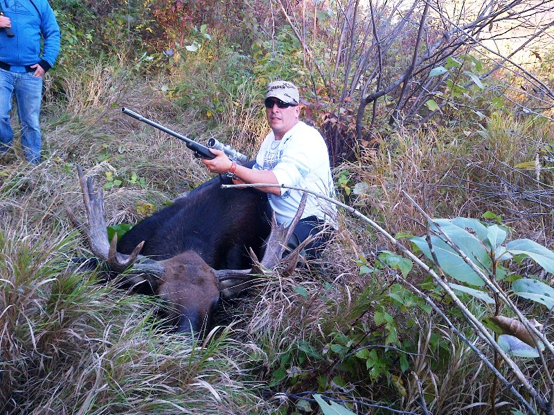 MOOSE 1.jpeg