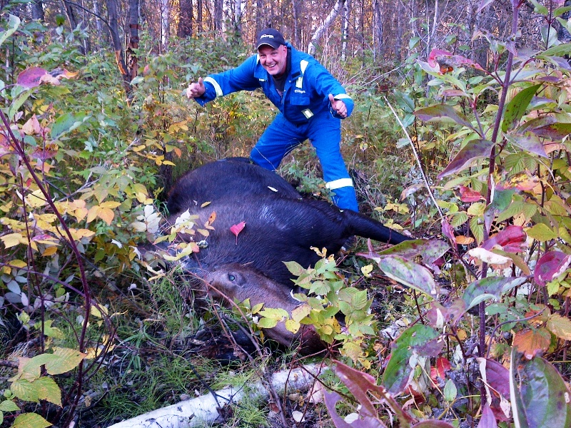 MOOSE.jpeg
