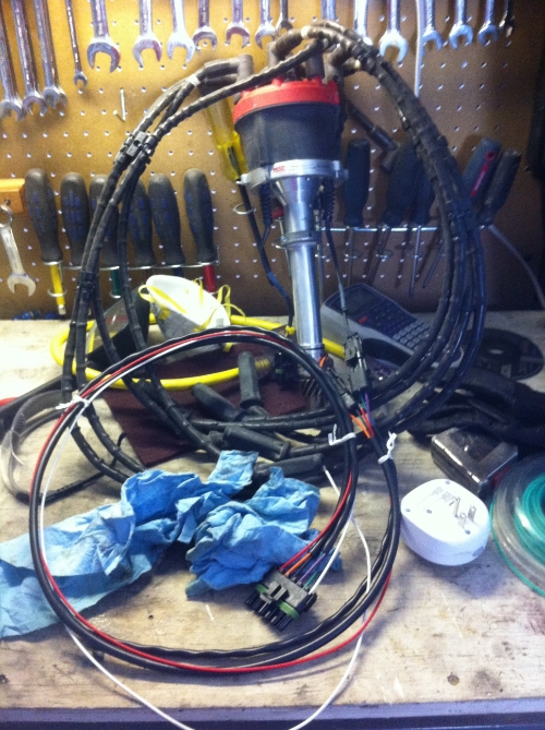 msd distributor.jpg