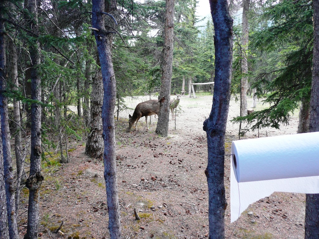 P1000547.JPG
