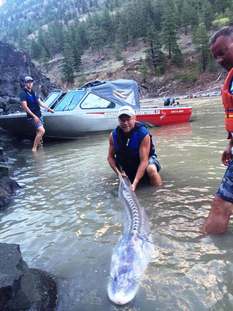 River Monster Sturgeon.jpg