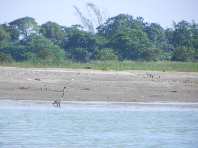 Teco Oct 2 2010 624.jpg